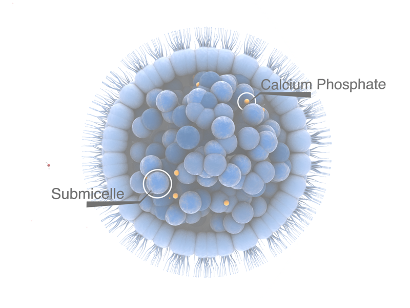 3D Chemical Visualisation | Lactose